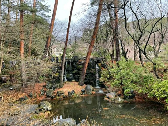 Hakone Venetian Glass Museum – A Magical Fusion of Art and Nature