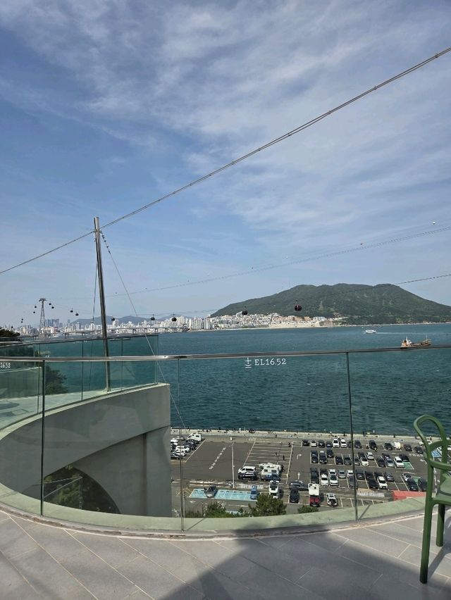 부산 송도 대형카페 EL16.52