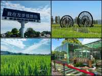 中山南朗左步村