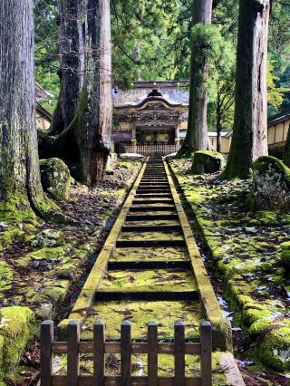 Winter Wonders in Fukui – Temples, Dinosaurs & Peaceful Shrines 