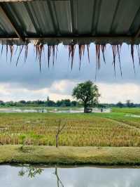 Phanumaslongstay & Resort – Your Tranquil Home Away from Home