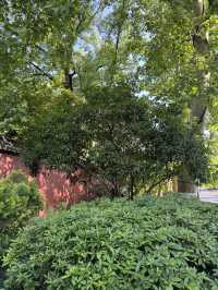 Discover Hangzhou’s Hidden Calm: Peaceful Escapes