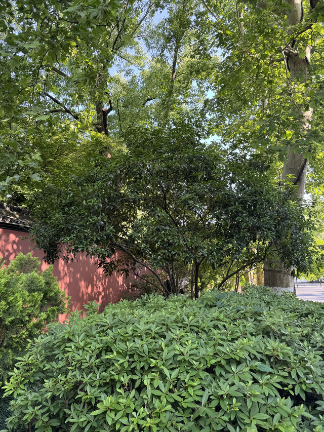 Discover Hangzhou’s Hidden Calm: Peaceful Escapes