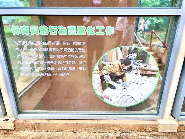 ［新竹旅遊］新竹市立動物園-親子共遊好去處🐒