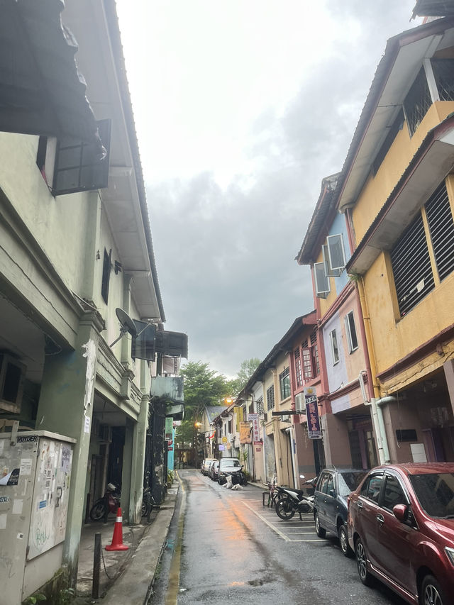 A cat city adventure 