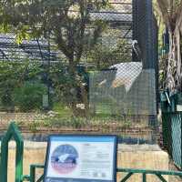 🌿🐒 Hong Kong’s Backyard Paradise — Deep Dive into the Zoological & Botanical Gardens!