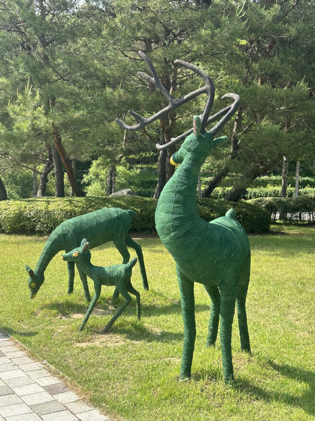 🌲 자연과 함께하는 힐링 교육의 장, 충북 산림환경연구소 (미동산수목원)