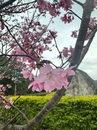 台北｜陽明山國家公園