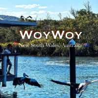 🌊 Sydney Day Trip | Woy Woy — The Pelican Town 🐦✨