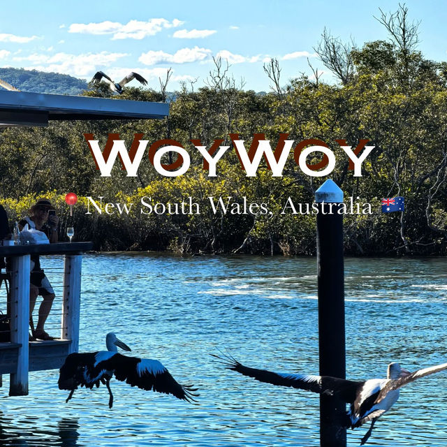 🌊 Sydney Day Trip | Woy Woy — The Pelican Town 🐦✨