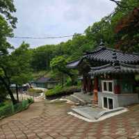 Wandering Ga-hyeon in Gimpo