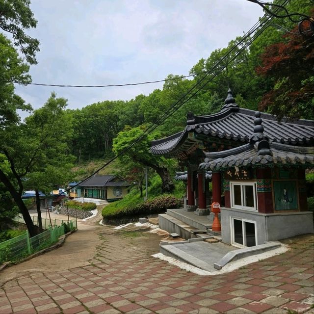 Wandering Ga-hyeon in Gimpo