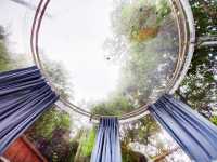 隱身山林的療癒小屋｜苗栗「桌也小屋」住宿體驗