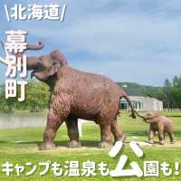 1日遊び尽くせる‼️人気スポット