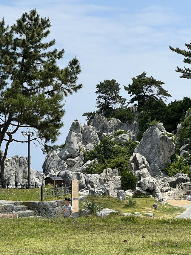 추암 해변 바위들과 바다