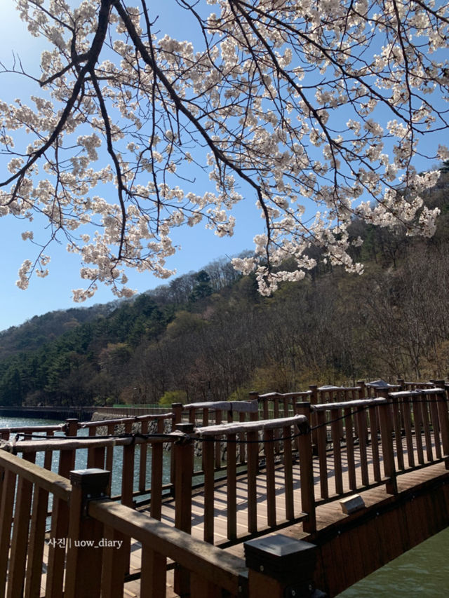 지금 가도 좋은, 기장 산책로 데이트 🚶🏻‍♀️🚶