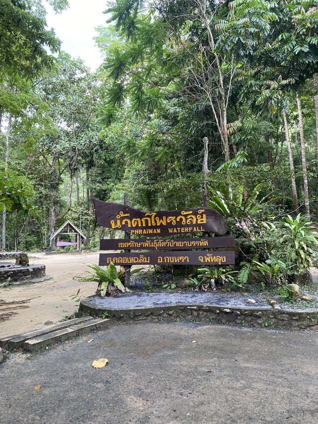 💦 น้ำตกไพรวัลย์ 🌳