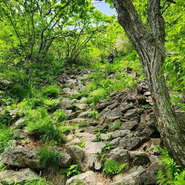 Conquering Namdeokyusan Like a Champ
