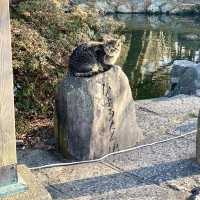 Tranquility at Maruyama Park, Kyoto