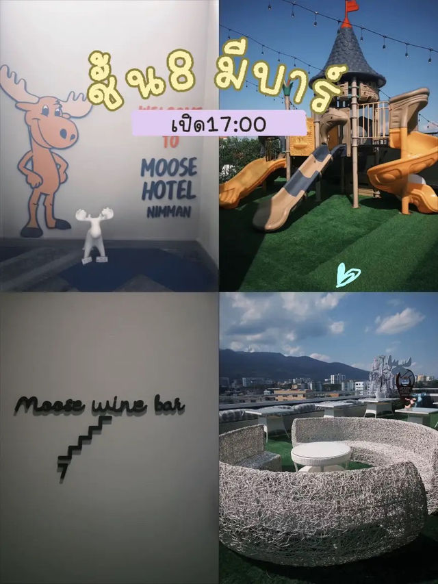 ✨มูส โฮเทล นิมมาน (Moose Hotel Nimman)