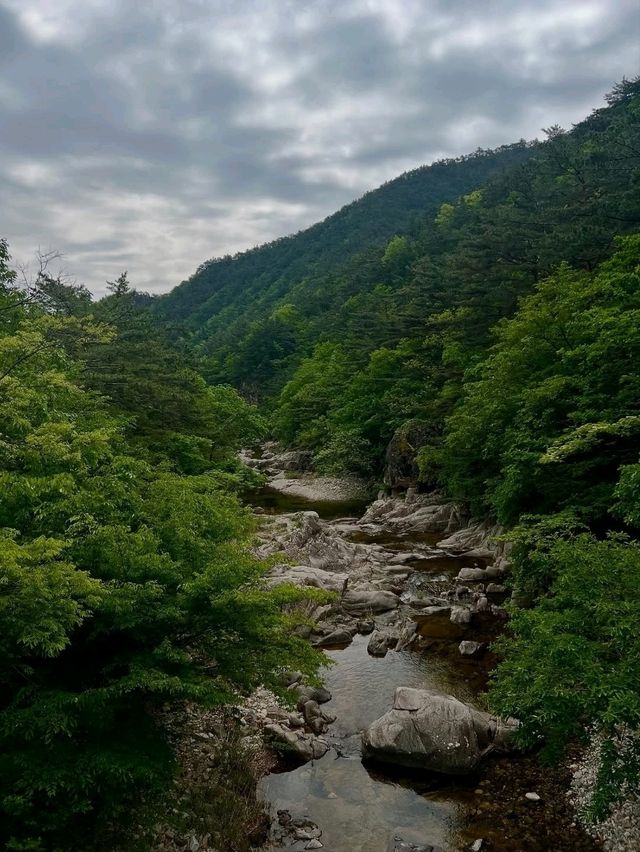 Mulleung Valley