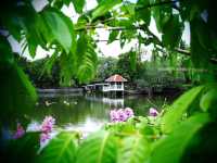 自然の美しさと静けさを感じる旅、スリナーク・クアンカン植物園へようこそ🌿🌺