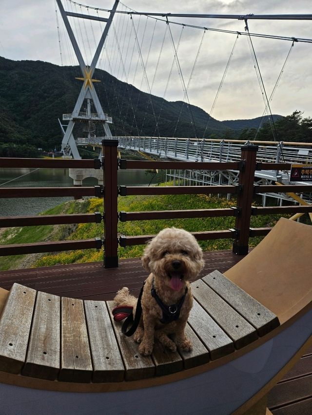 영천 보현산댐 출렁다리 걷기 좋은 명소