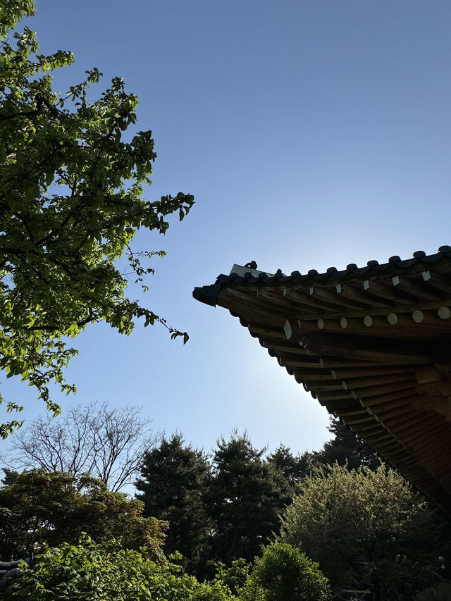 🏛 한옥과 근대, 청와대까지