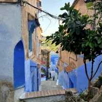 Chefchaouen, The Blue Pearl: Essential Tips 💙🇲🇦