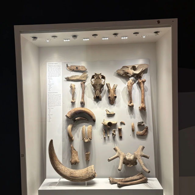 Hungary's National Museum: A Journey Through Time! 🇭🇺🕰️