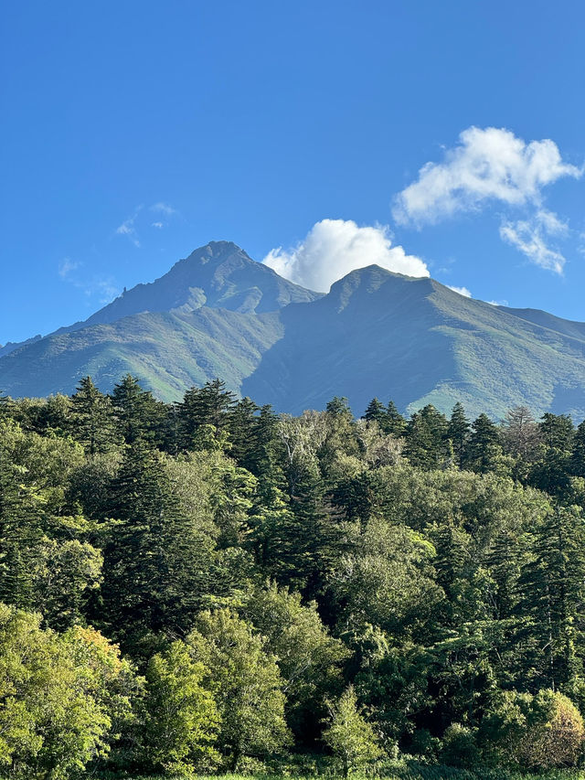 自然とグルメ天国、利尻⛰
