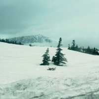 หิมะครั้งแรกของฉัน ณ กำแพงหิมะ Murodo Snow Wall 