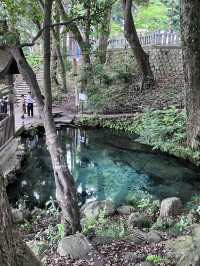 📍**【茨城・日立 泉神社（龍泉神社）】清泉と“龍の宿る木”が生むパワースポットで心を潤す旅**