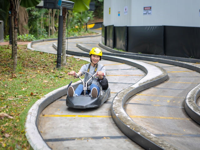 🌟 Luge ที่ Sentosa – ผจญภัยบนลูจในสิงคโปร์
