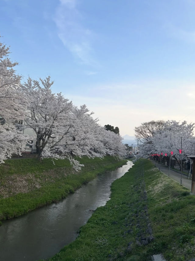 四季が彩る歴史の庭。高田城址公園で静かな時間を🌸