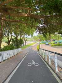 🌳 桃園三民運動公園｜城市裡的綠意呼吸，親子放電與運動愛好者的天堂
