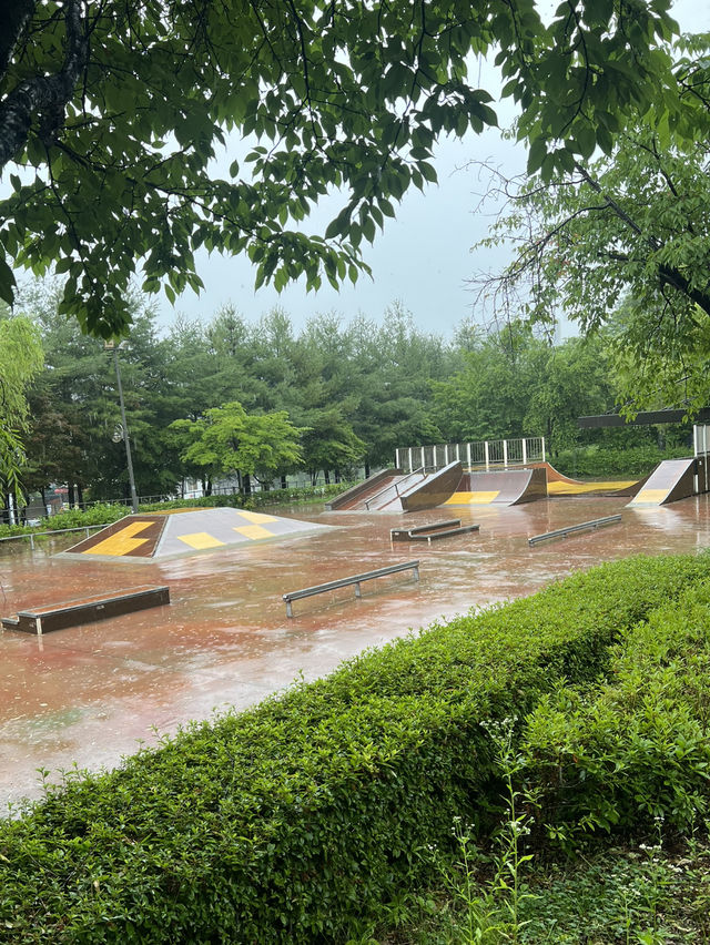 일자산 도시 자연공원
