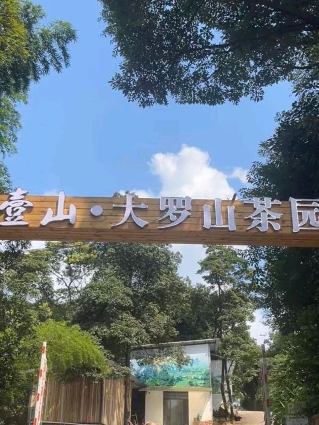 再入住廣東版小桂林，清遠藏得太深了