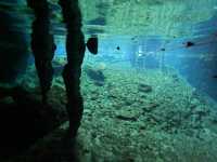 【グラン・セノーテ（Gran Cenote）｜神秘の光と水に包まれる夢のような洞窟泉】