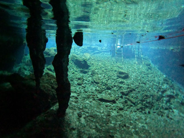 【グラン・セノーテ（Gran Cenote）｜神秘の光と水に包まれる夢のような洞窟泉】