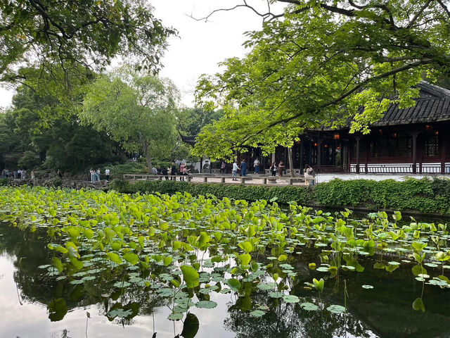 🌿 Humble Administrator’s Garden 拙政园 — A Classical Suzhou Gem