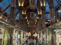 Oxford's Hidden Gem: The Pitt Rivers Museum 🇬🇧✨