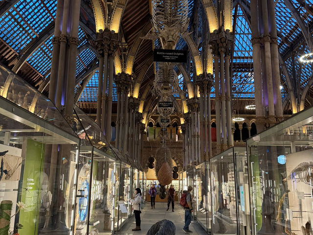 Oxford's Hidden Gem: The Pitt Rivers Museum 🇬🇧✨