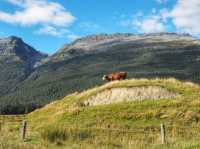 Mountains, Lakes &… Bras? A Quirky Road Trip in Queenstown