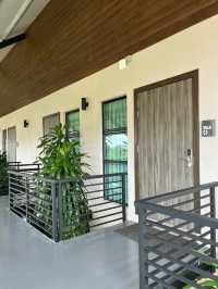 Rice Fields & Relaxation: Discover Villa Paddy, Langkawi