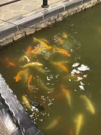 Tosnana Valley khaoyai เขาใหญ่
