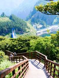 Ulleungdo, Main Character Energy