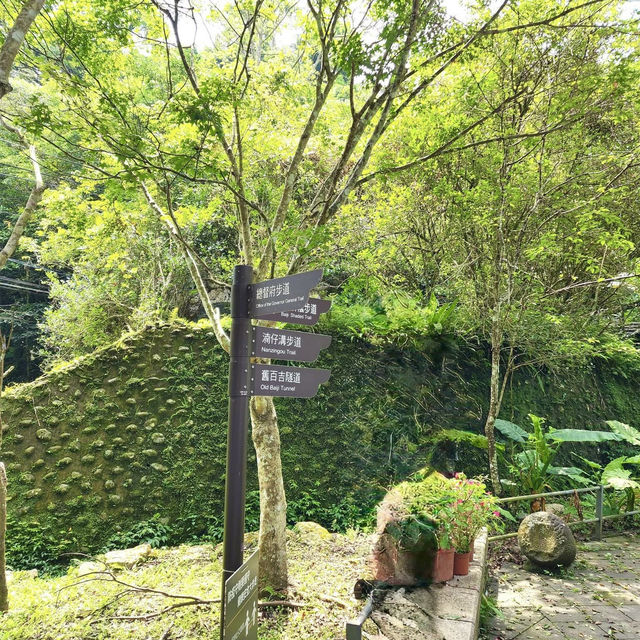 石龜坑山古道巡禮