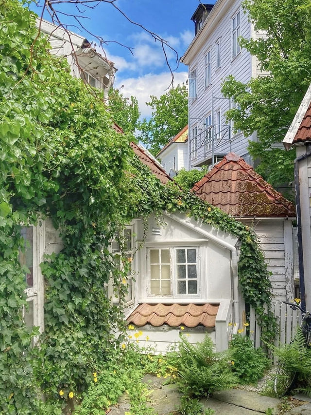 🇳🇴北歐全境包車|挪威深度峽灣8日探索之旅
