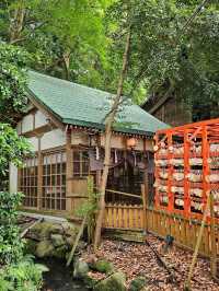 〔金澤稻荷神社〕 石浦神社旁的千本小鳥居 ⛩️